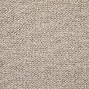 Desert Sands broadloom carpet in BENI rich natural desert hue with loop texture